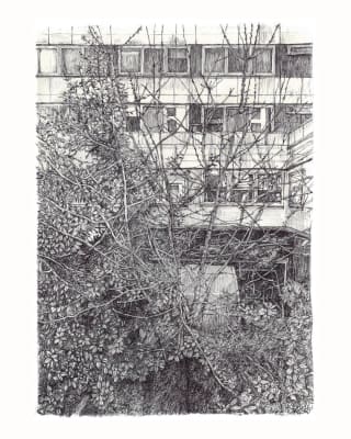 Gail Hoban