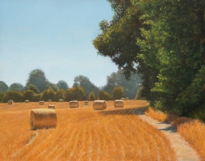 Joe Stevens