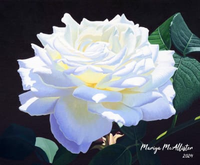 Mariya McAllister