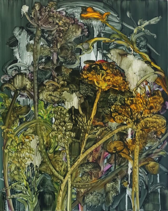 Barbara Howey