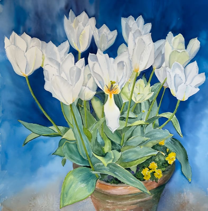 Clare Powell