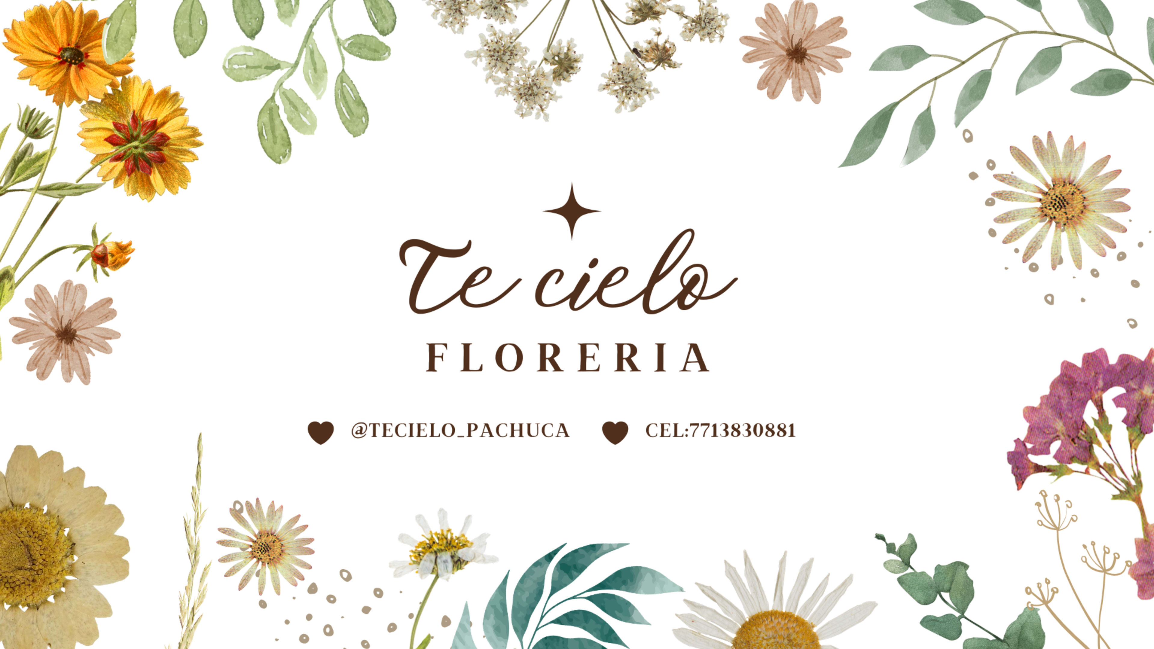 Te cielo