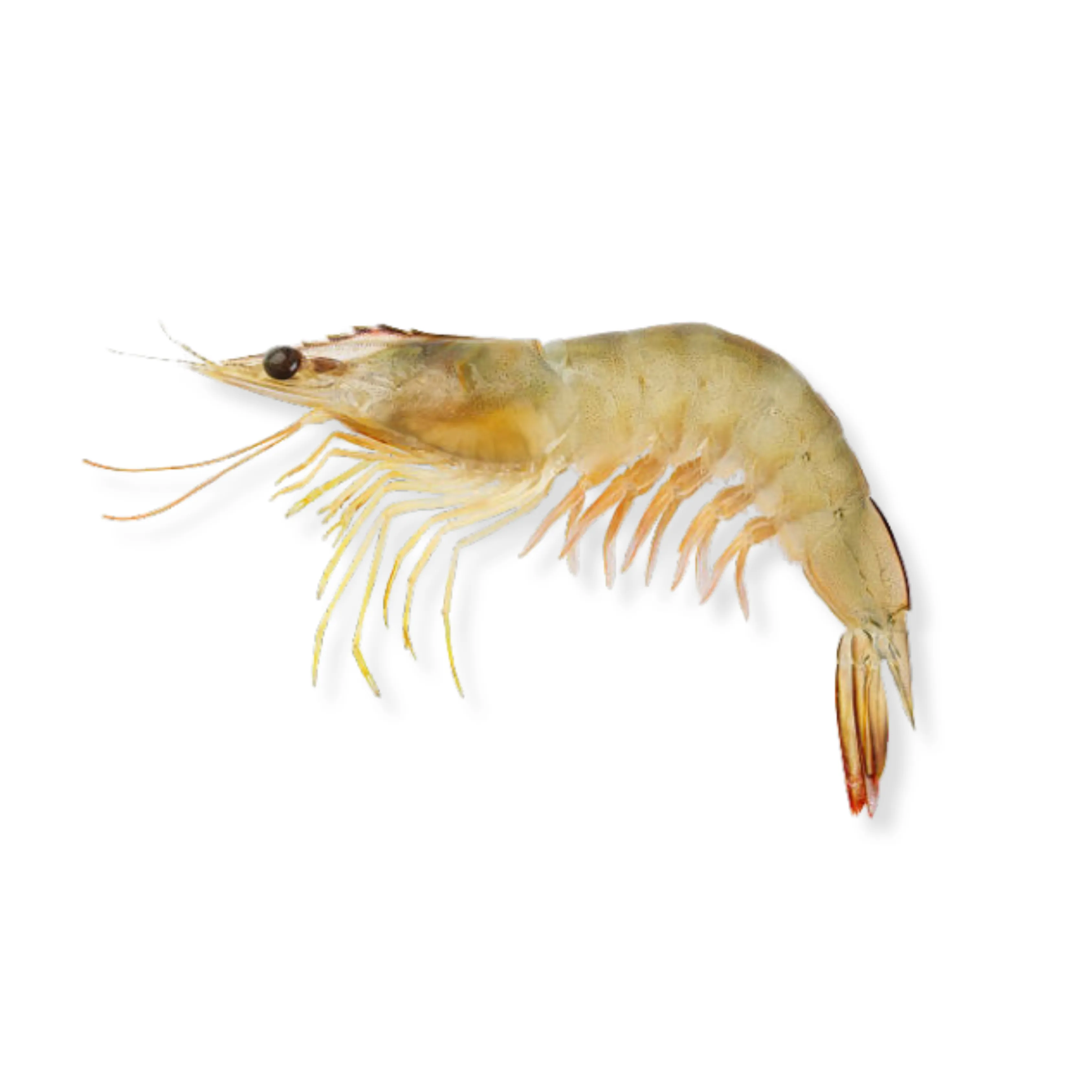 Udang Banana