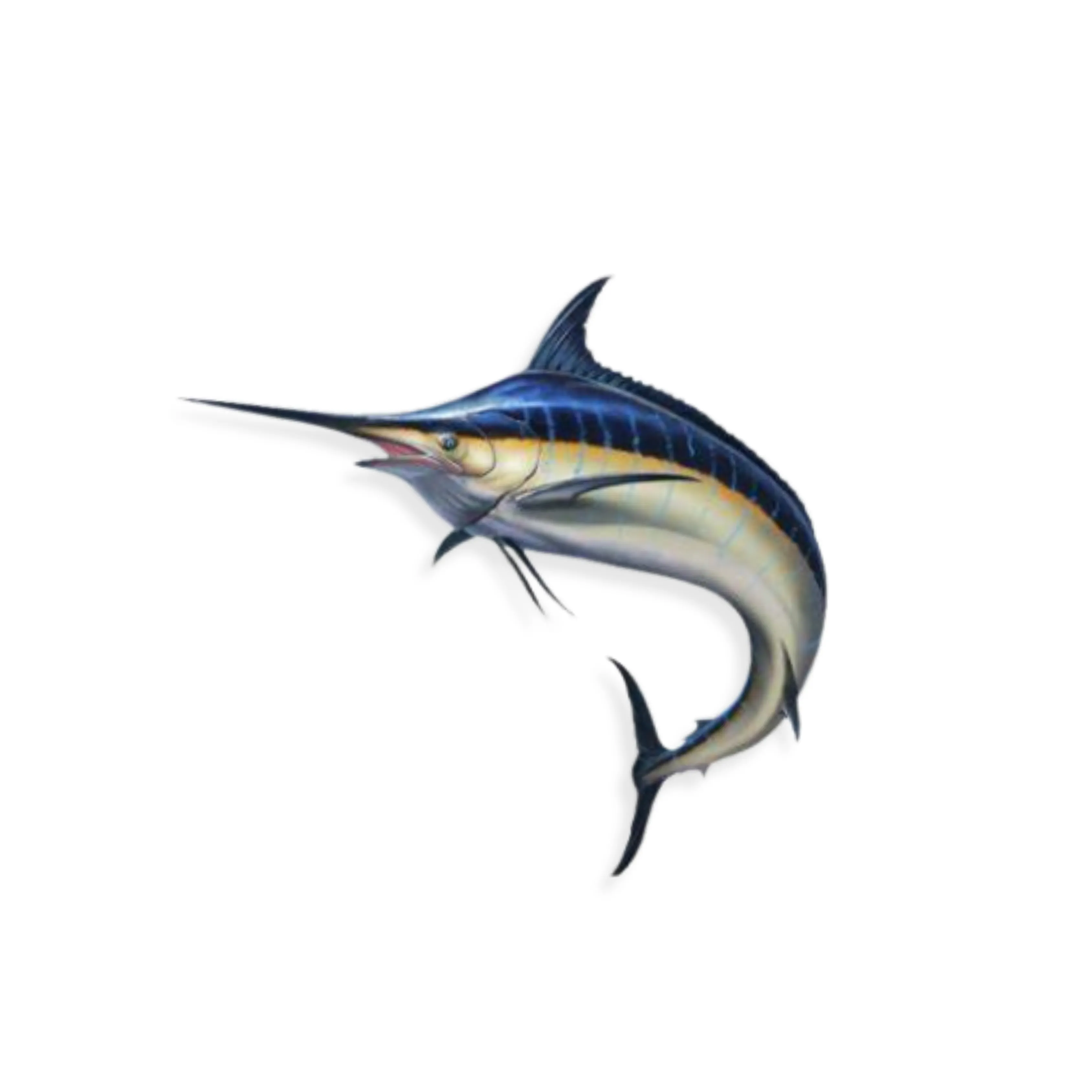 Layar Putih/Marlin