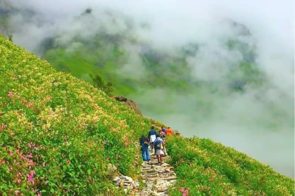 Rishikesh to Valley of Flowers: 5-Day Guided Trek Experience