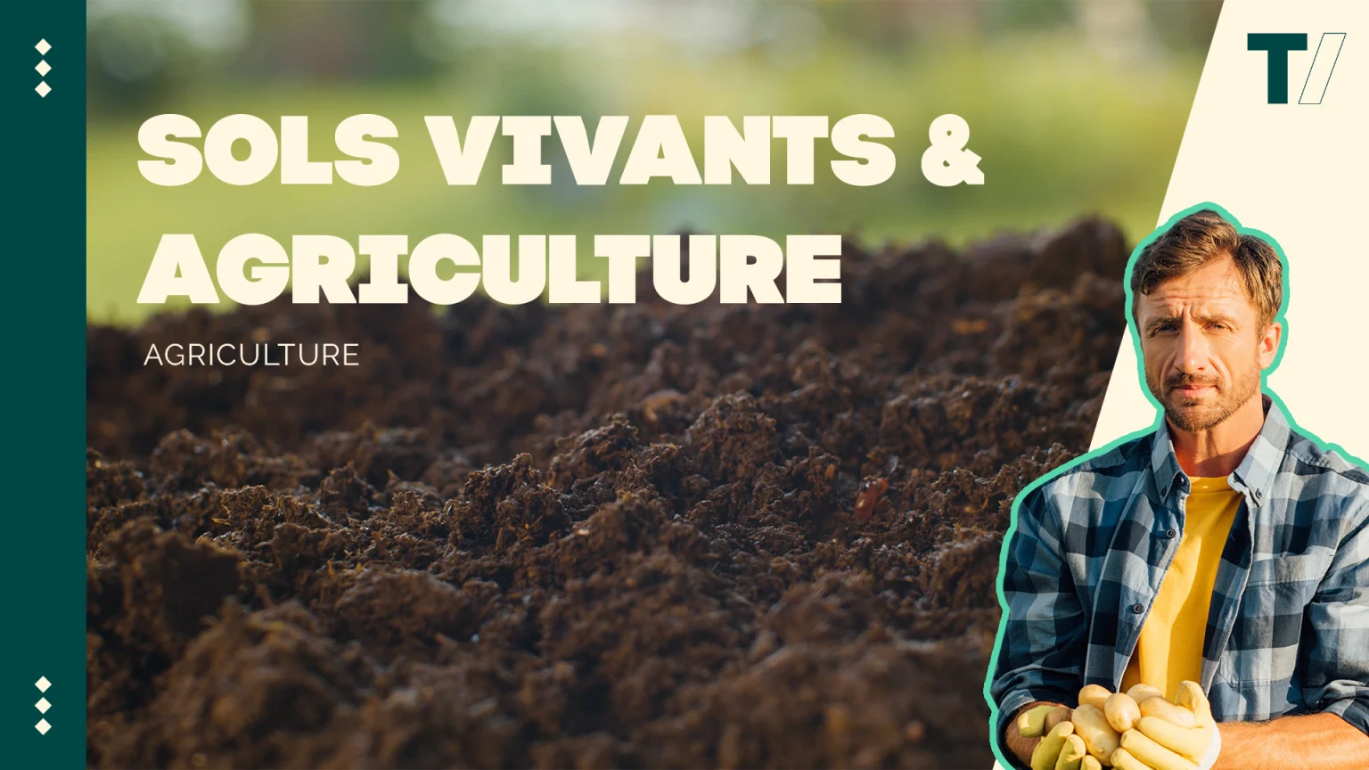 Les sols vivants : clés d'une agriculture durable pour notre territoire