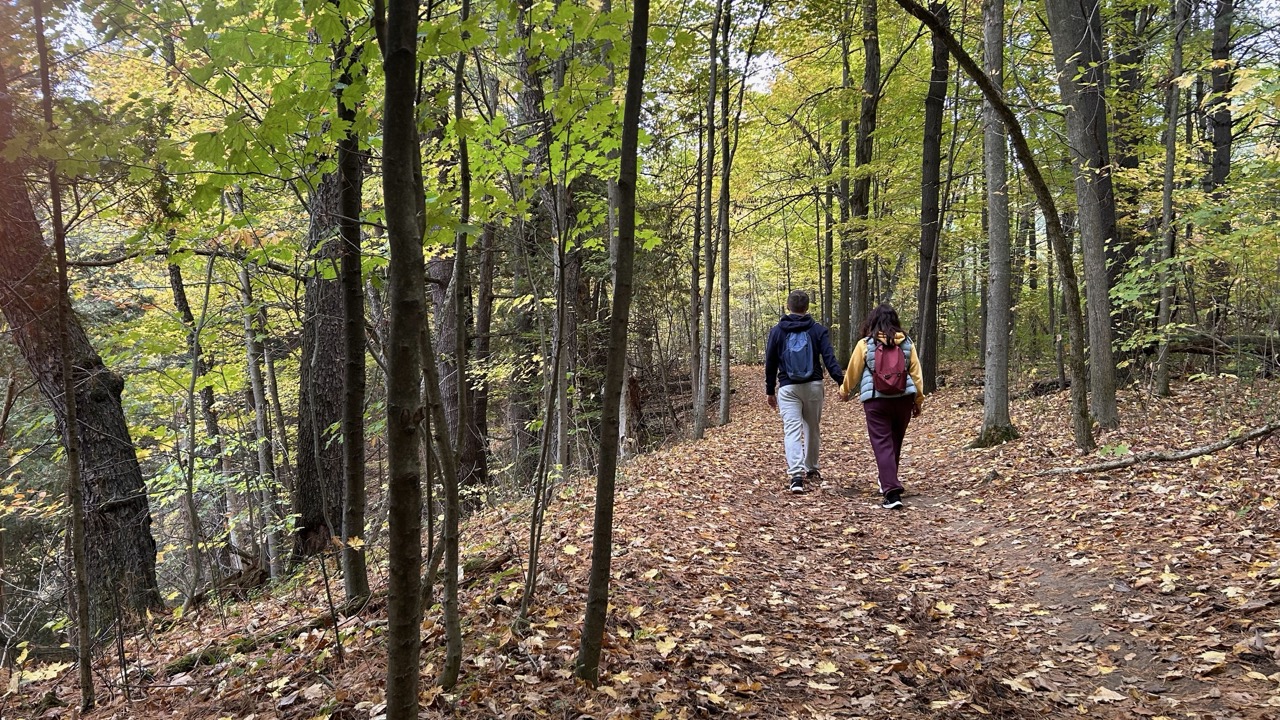 Limehouse Conservation Area
