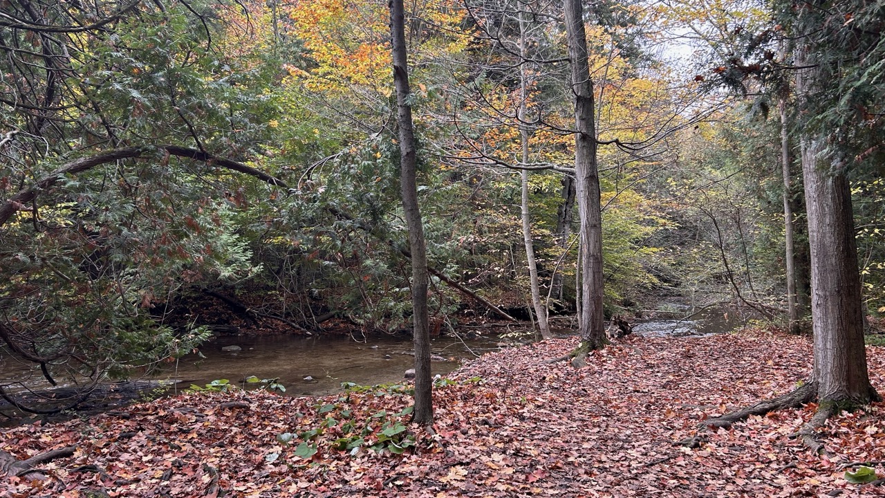 Limehouse Conservation Area