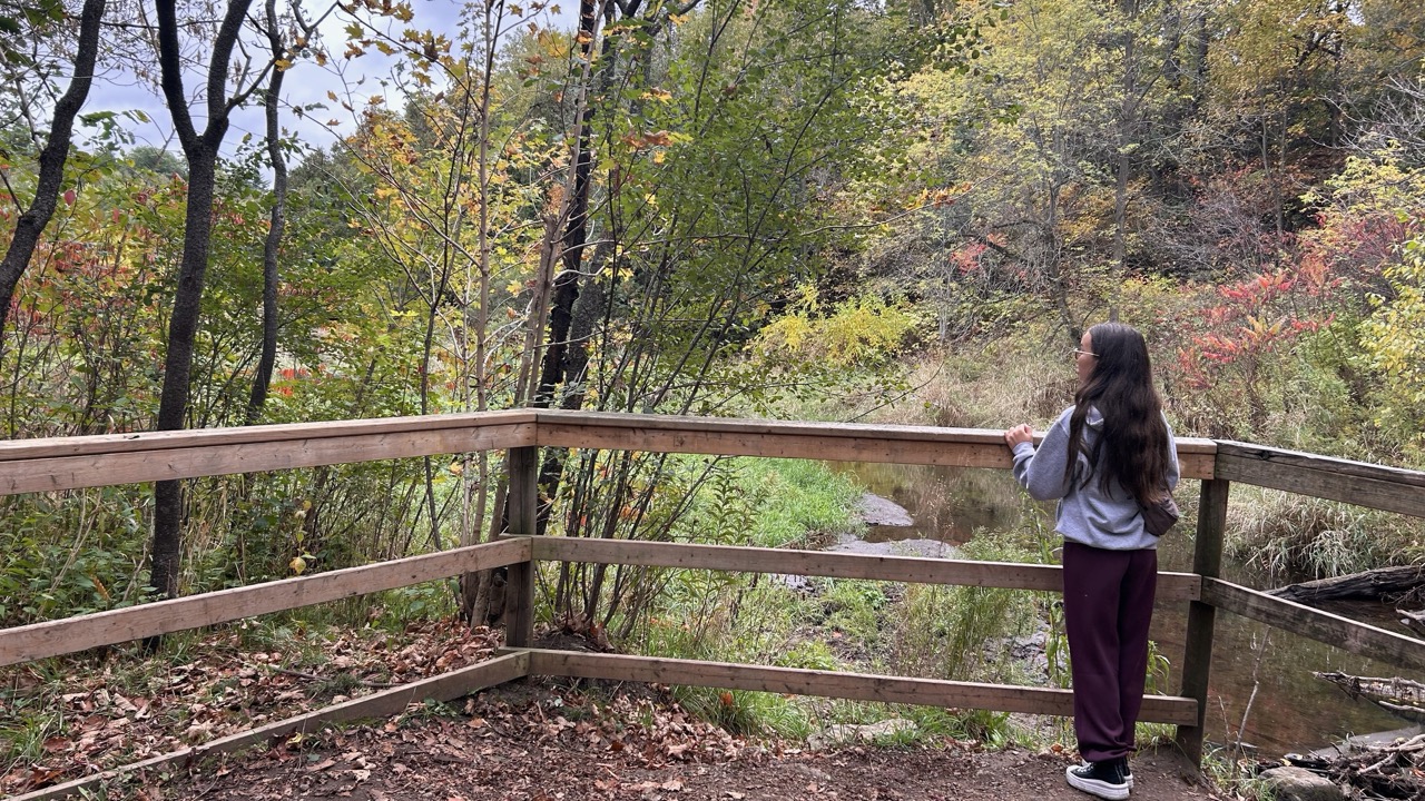 Limehouse Conservation Area