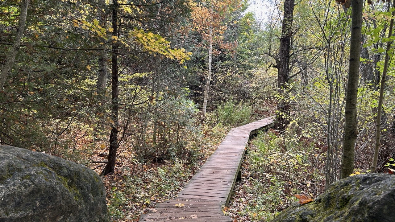 Limehouse Conservation Area