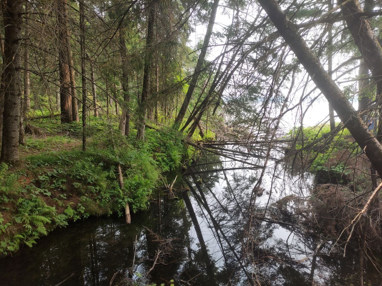 Campfire at Balsam Lake Provincial Park