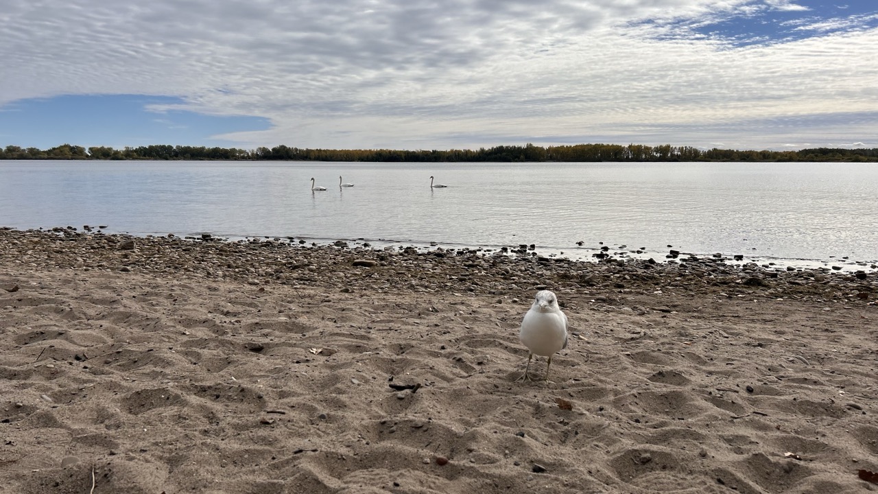 Cherry Beach Toronto