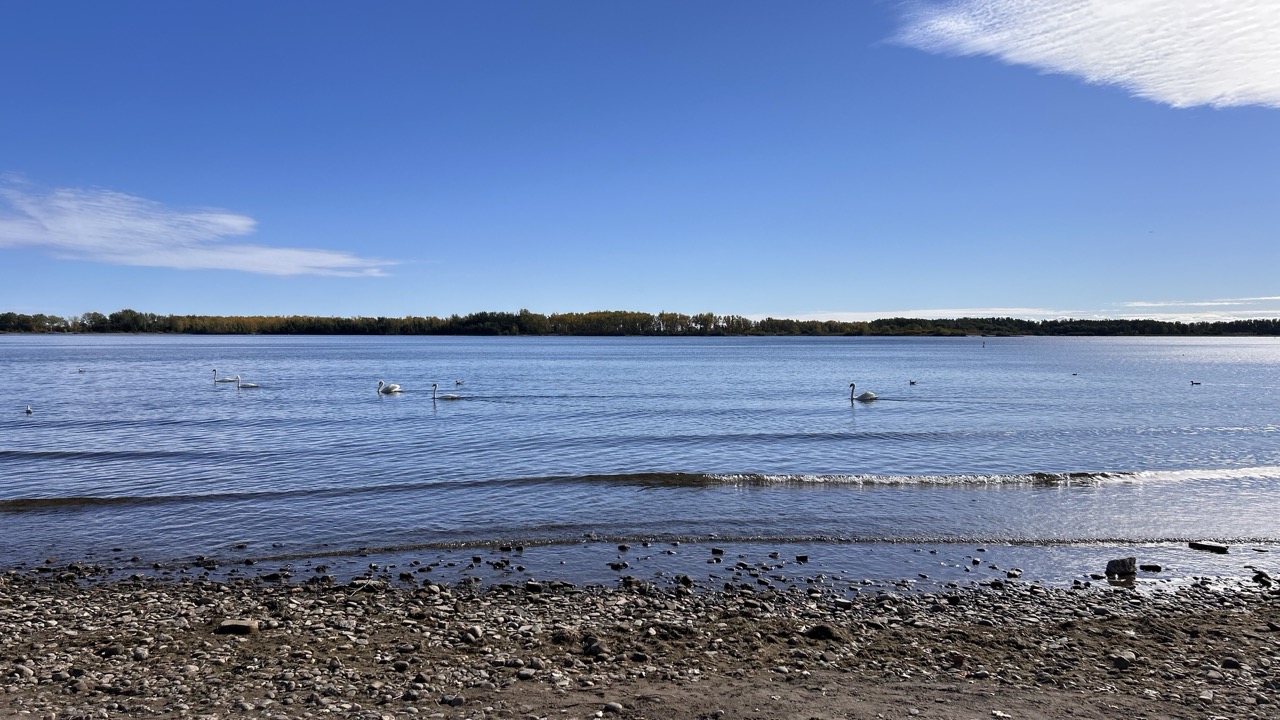 Cherry beach