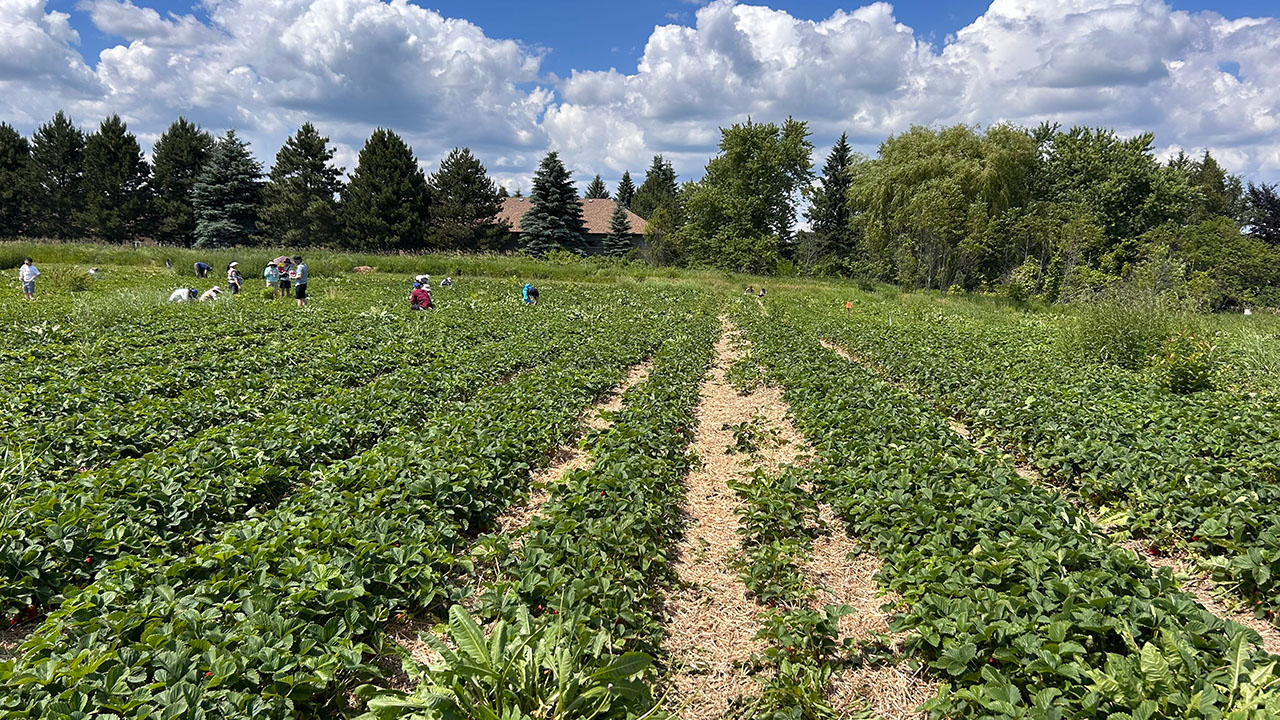 Robintide Farms