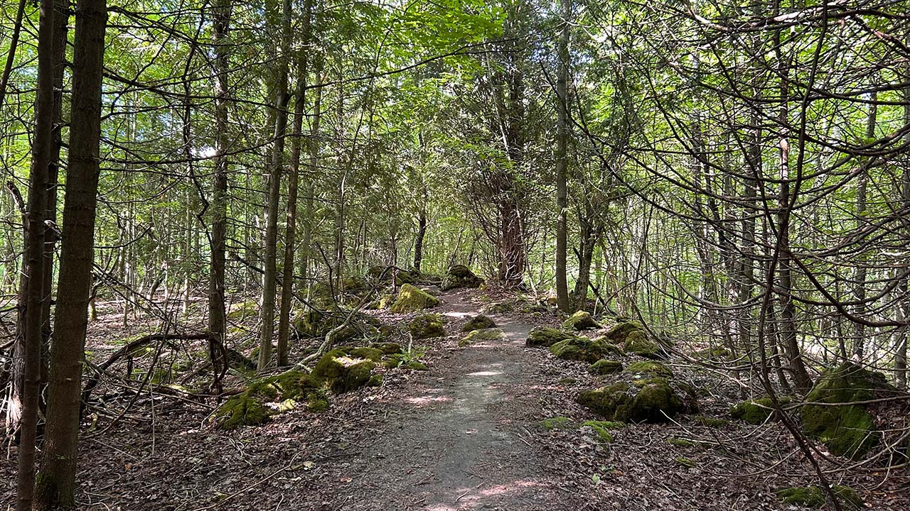 Mono Cliffs Provincial Park