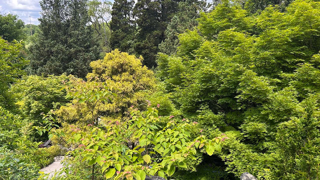 Royal Botanical Gardens