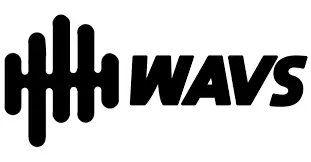 WAVS Custom