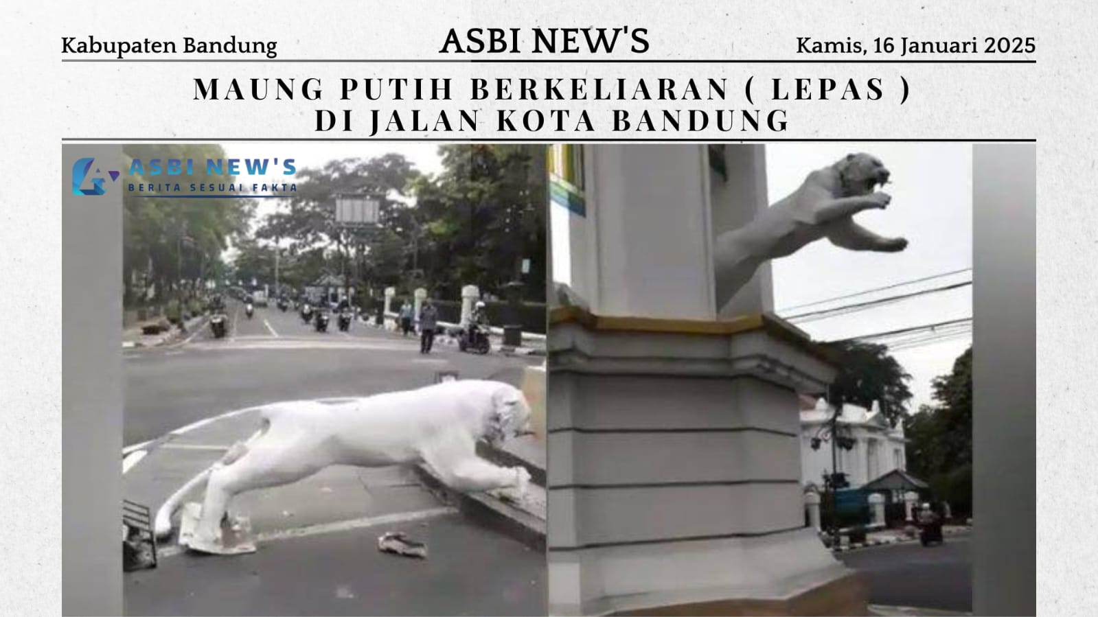 News 46