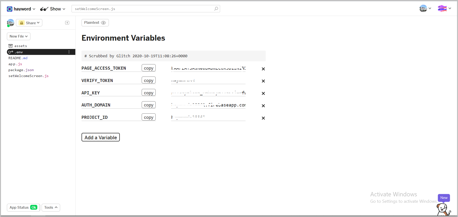 set variable firebase