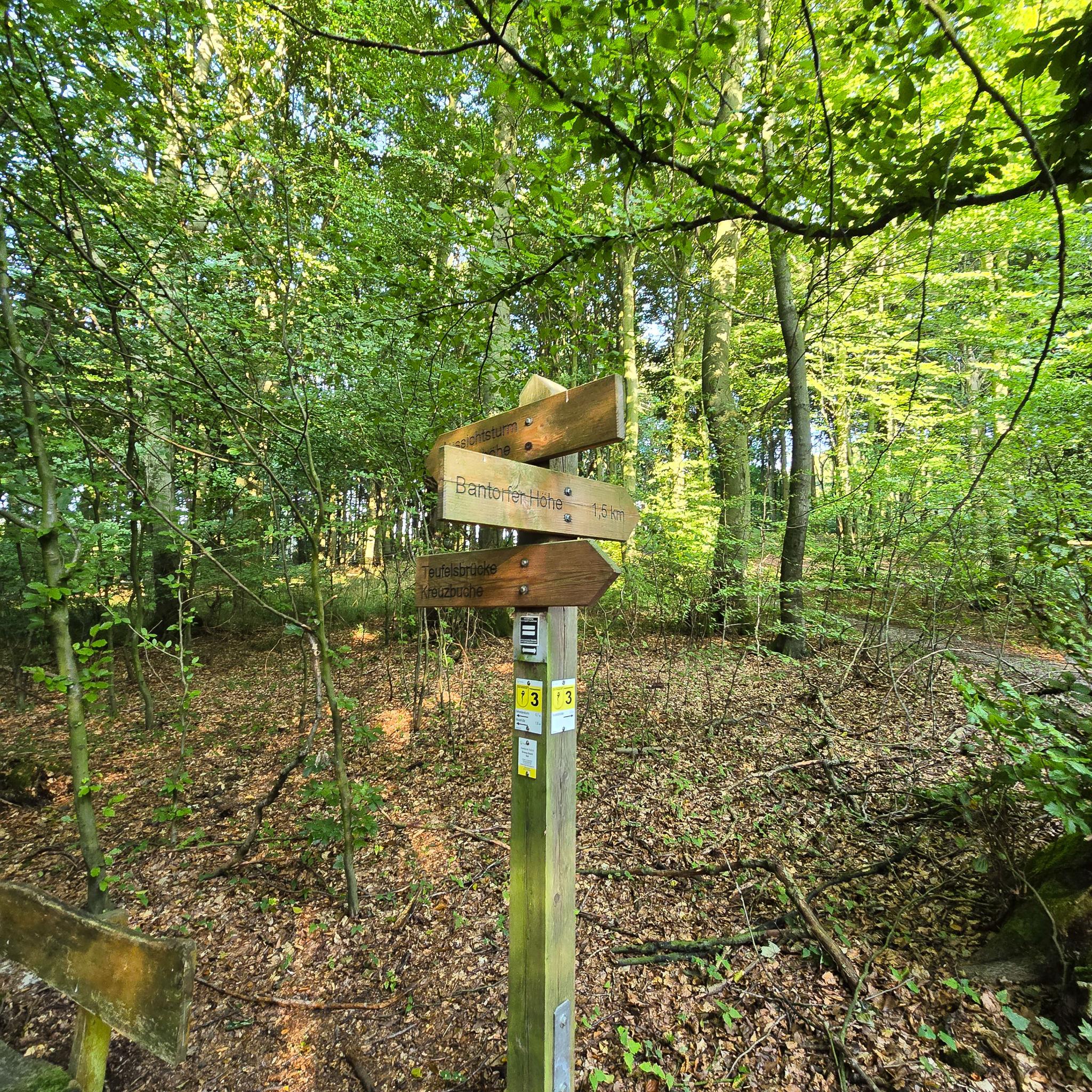 Walk to Bismarckturm Bad Pyrmont – Saturday Afternoon