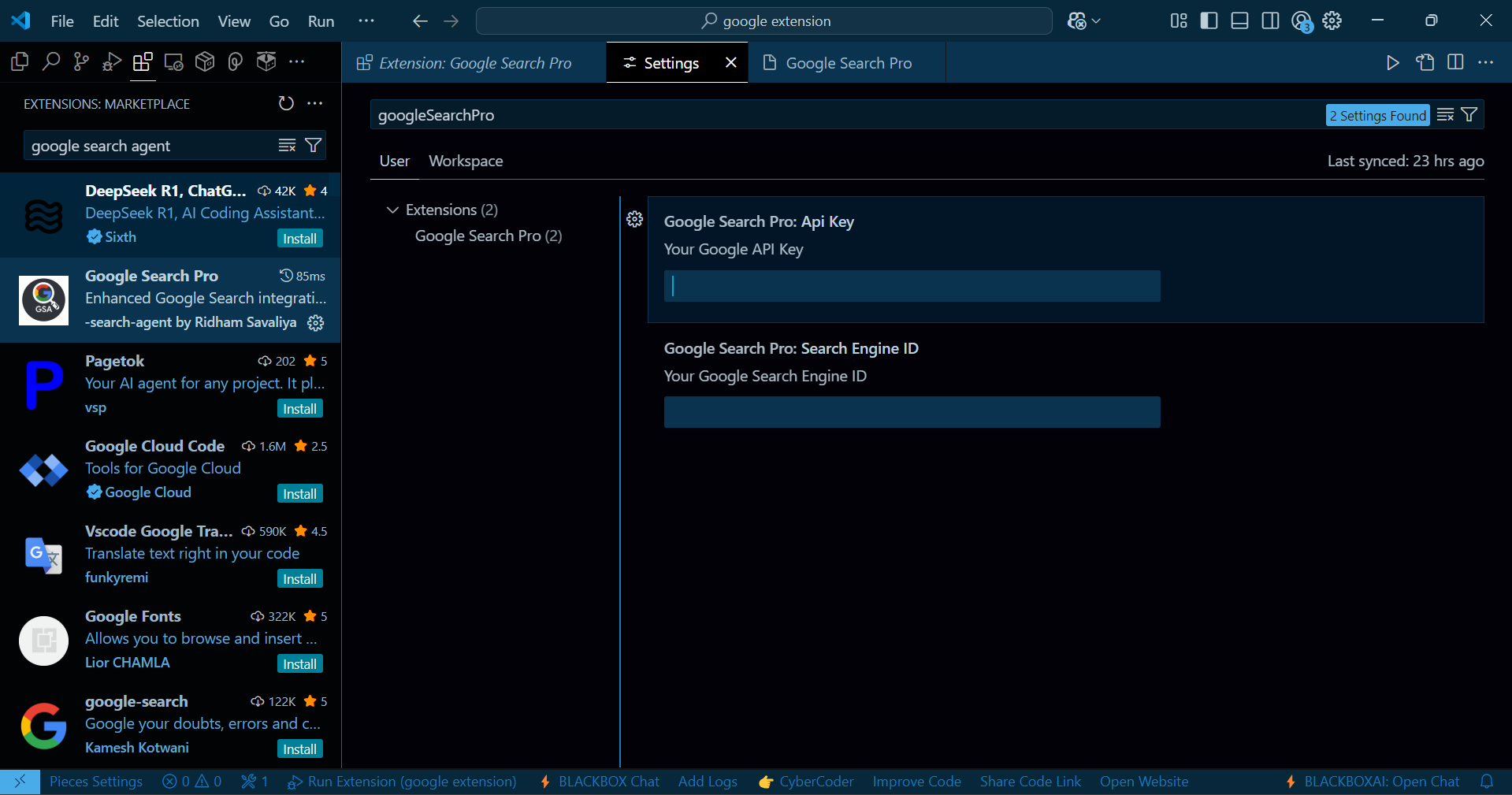VS Code Settings for API Key
