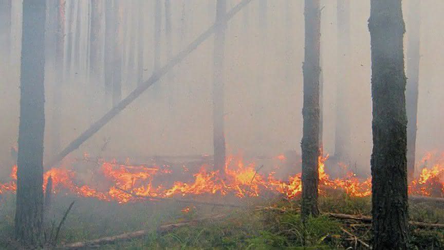 Пожары в кировской области карта