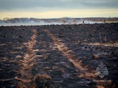 МЧС ликвидировало ландшафтный пожар в Кировской области