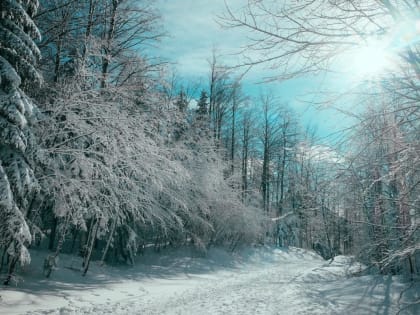 Становится прохладней