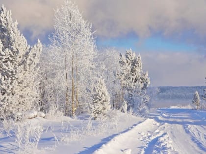 Ночью — сильный мороз