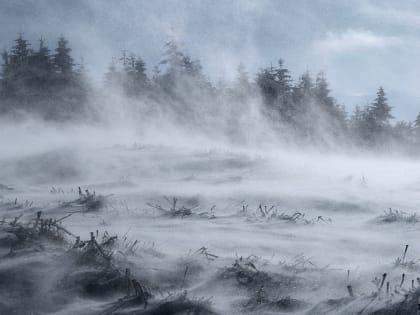 Небольшой снег и ветер