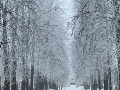 Тёплая зима ожидает Москву