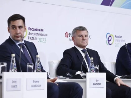Игорь Маковский на РЭН рассказал о практике и перспективах применения систем накопления электроэнергии