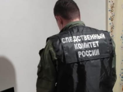 Чепчанка отправится в колонию за новогоднее убийство 10-месячной дочери