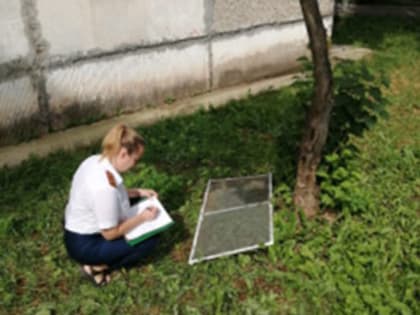 Июльские инциденты на Слободской земле, приведшие к гибели людей
