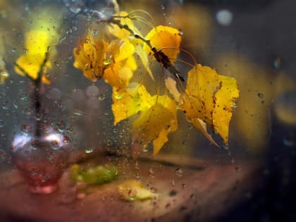 Неделя начнется с дождей