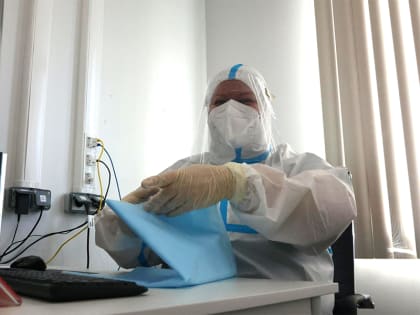 Роспотребнадзор: в Кировской области нет вспышки «мышиной» лихорадки