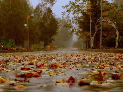 Днем небольшой дождь