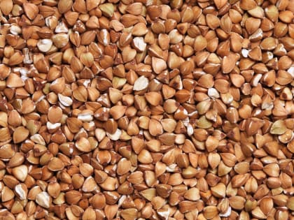 Гречка поможет снизить уровень холестерина