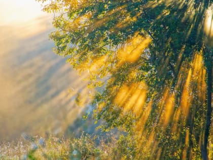 Последние теплые дни