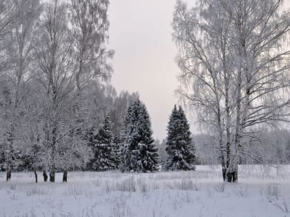 Безветренная погода