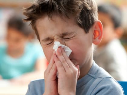 Отпуска и каникулы закончились. ОРВИ возвращаются в Киров