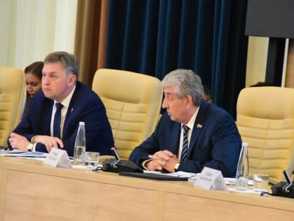 Приволжские депутаты предложили ускорить рассмотрение законопроекта о развитии в России технологических компаний