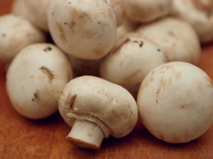 Диетолог сообщила название гриба, который поможет предотвратить рак и дряблость кожи