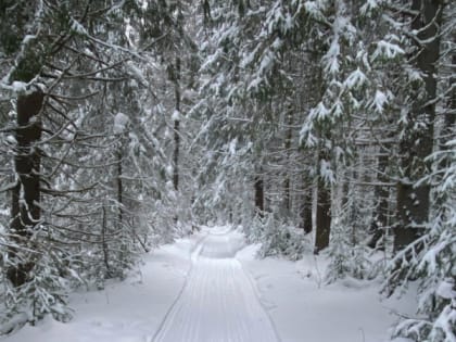 Озеро в Кирово-Чепецке загрязнили аммонием, нитритами и фосфатами