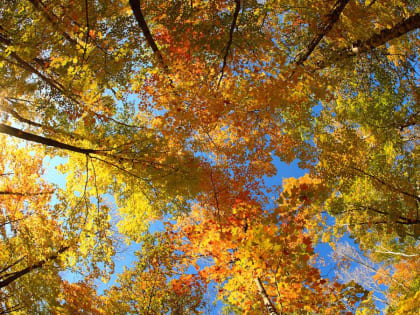 Теплый ветер и солнце