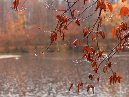 Бабье лето закончилось