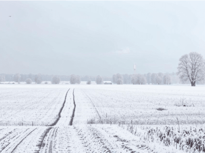 Снегопад и сильный ветер ожидаются в Кирове