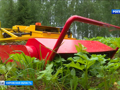 Кировский студент разработал проект роботизированной установки для борьбы с борщевиком Сосновского