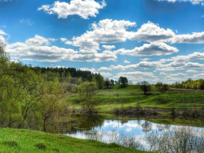 Пришла жара