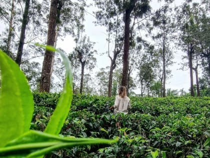 В майские праздники вырос турпоток из Кирова в Азию и Африку